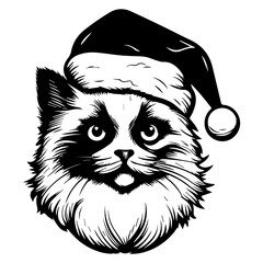 Christmas cat, Cute Ragdoll Cat in Santa hat head, Generative AI.