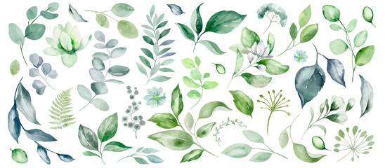 Set of green leaves and flowers on an isolated background. Watercolor botanical vegetation  leafset hand drawn. Herbal clipart of fresh plants. Exotic assortment of foliage. - obrazy, fototapety, plakaty