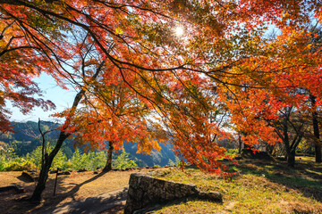 晩秋の岡城址