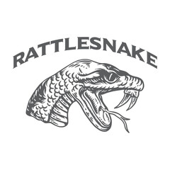 Rattlesnake vector art illustration