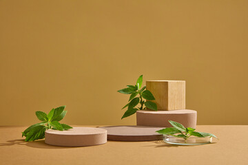 Scene for cosmetic product presentation with round podiums and fresh leaves of spearmint on brown...
