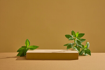 Pedestal for cosmetic product and packaging mockups presentation. Rectangle brown podium with fresh...