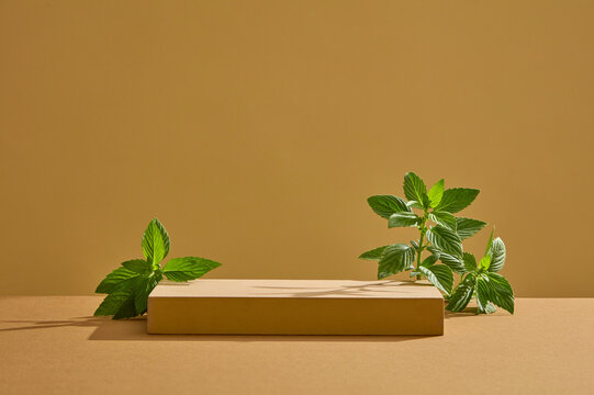 Pedestal for cosmetic product and packaging mockups presentation. Rectangle brown podium with fresh spearmint leaves on brown background. Concept with natural herbal. Front view