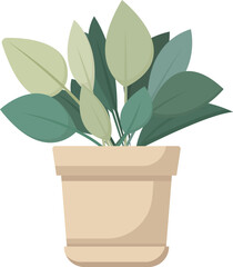 House plants in pots. Element for design house, room or office. Isolated element on white background.