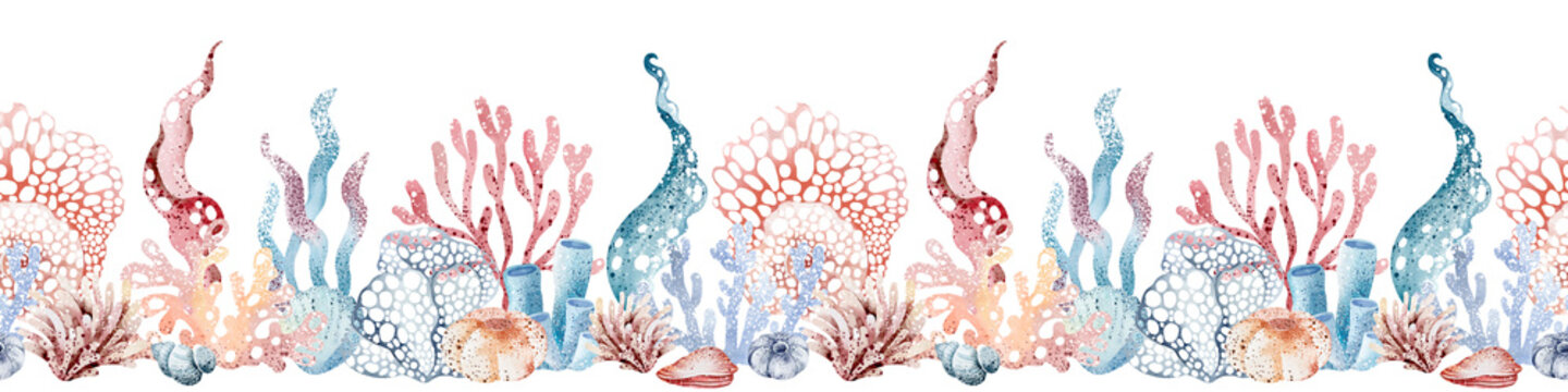 Underwater sea border. Watercolor corals and seashells on isolated background for banner. Flora of the ocean marine nature.  Undersea horizontal ornament.