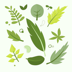 vector green leaf leaves set elements illustrations nature