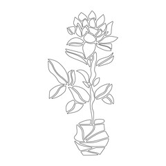 These designs can be used for various purposes which are perfect on t shirts, mugs, signs, cards, pillows and much more.
You can also use these designs with your Cricut and Silhouette cutting machines