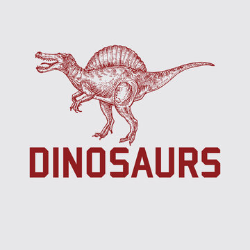 Free vector dinosaur logo design t-shirt print.Free vector dinosaur logo design t-shirt print.