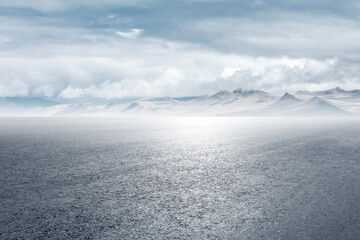 Professional use auto advertising backplate