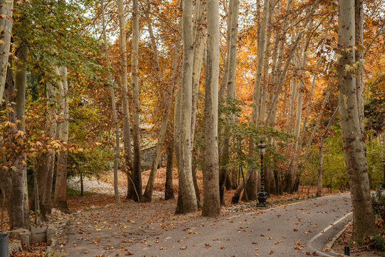 A landscape photo of the park in autumn.