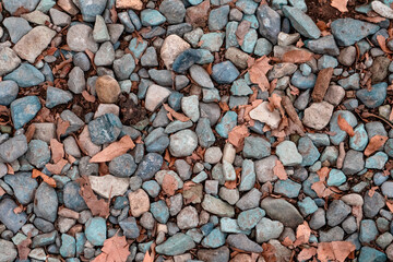 Colored stones on the autumn ground.