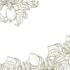 A border of lemon twigs and lemons. A composition of citrus fruits in a graphic style. Vector illustration isolated on a white background.