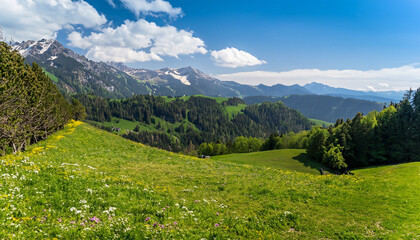 Alpine mountain landscape with blooming meadows in spring
