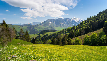 Naklejka na ściany i meble Alpine mountain landscape with blooming meadows in spring