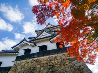 秋の紅葉と彦根城の天守閣