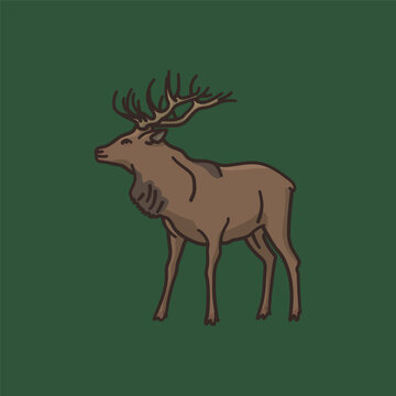 Adult male stag vector illustration for International Wildlife Day on March 3