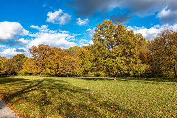 Golden autumn view in famous Munich relax place - Englischer Garten. Munich, Bavaria, Germany