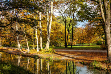 Golden autumn view in famous Munich relax place - Englischer Garten. Munich, Bavaria, Germany