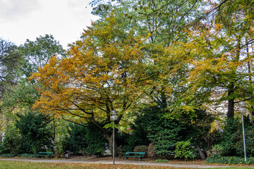 Autumn view of Maximiliansplatz square in the center of Munich, Germany.