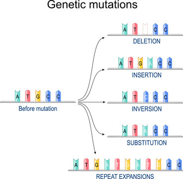Genetic mutations