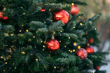 New Year's red balls and garlands are on the green branch outdoor 