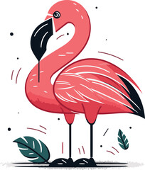 Flamingo vector illustration isolated on white background