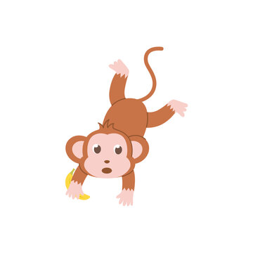 cute animal monkey vector set animal