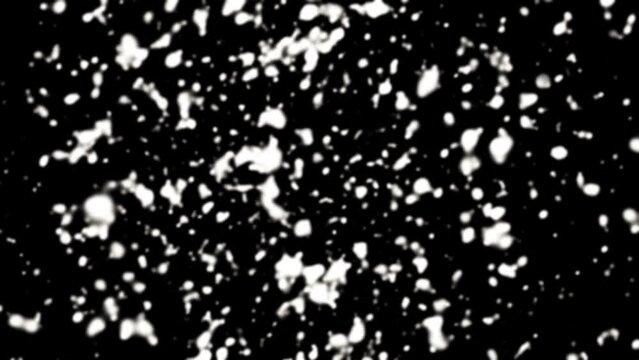 black and white background with ink splat moving. Motion snowing in the dark. Christmas concept.