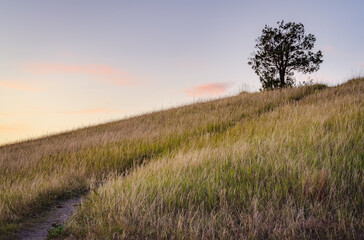 The Prairie Grasslands of Theodore Roosevelt National Park in North Dakota