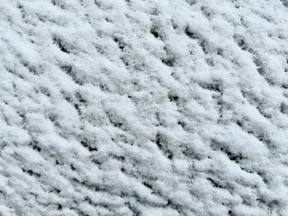 White snow background 