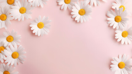 Fototapeta premium Minimal styled concept. White daisy chamomile flowers on pale pink background. Creative lifestyle, summer, spring concept. Copy space, flat lay, top view