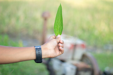 A man is holding a tree leaf with his hands and blurred background