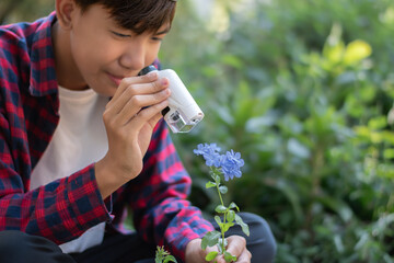 Asian schoolboy is using outdoor porket or portable microscope to study flowers and plants in his...