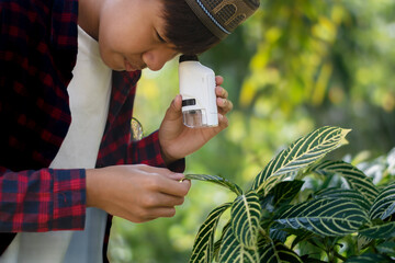 Asian schoolboy is using outdoor porket or portable microscope to study flowers and plants in his...