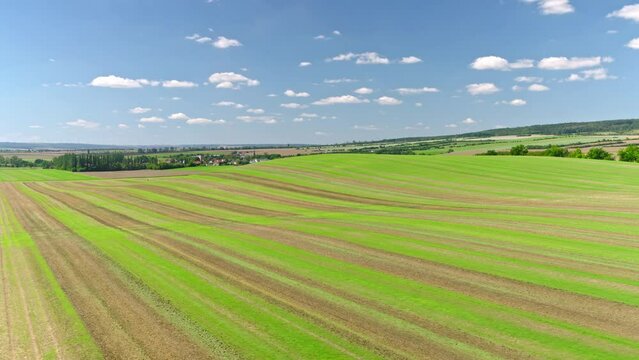 Machines till the fields for the coming harvest year. Wide angle drone shot.