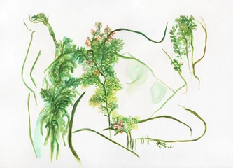 Küchenrückwand glas motiv abstract woman with plants. watercolor painting. illustration © Anna Ismagilova