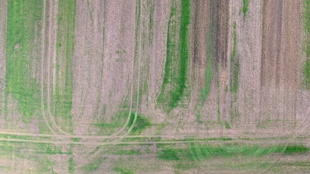 Machines till the fields for the coming harvest year. Top down drone shot.