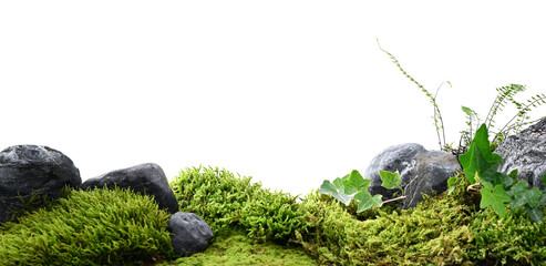 Nature background of stones, moss and plants - 685580273