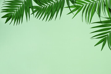 Frame of palm leaves