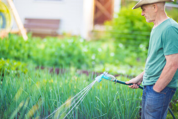Farmer with garden hose and gun nozzle watering vegetable plants in summer. Gardening concept....