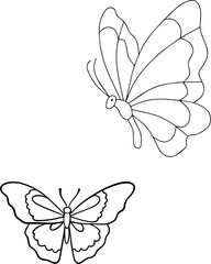 flower, vector, butterfly, pattern, illustration, design, decoration, nature, floral, art, set, leaf, 