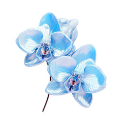 sky blue crystal orchid,sky blue orchid made of crystal isolated on transparent background,transparency 