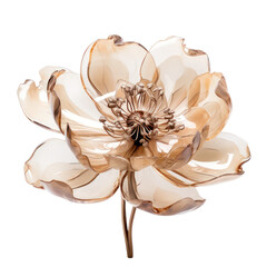 Brown crystal peony flower isolated on transparent background,transparency 
