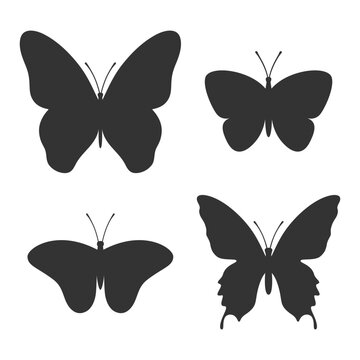 Butterflies graphic icon set. Butterflies silhouettes isolated on white background. Vector illustration