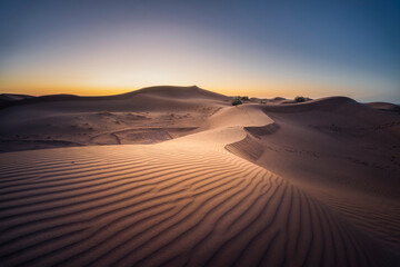 Sahara Marocchino