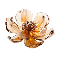 brown crystal peony flower,brown peony made of crystal isolated on transparent background,transparency 