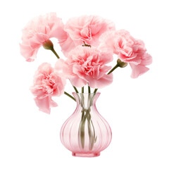 Pink crystal carnation flower,pink carnation flower made of crystal isolated on transparent background,transparency 