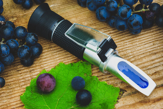 refractometer for measuring the amount of sugar and alcohol content, and grapes on a wooden table (Brix refractometer)