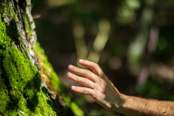 A man's hand touch the tree trunk close-up. Bark wood. Caring for the environment. The ecology concept of saving the world and love nature by human