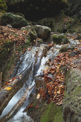 Beautiful view of small waterfall in autumn forest.